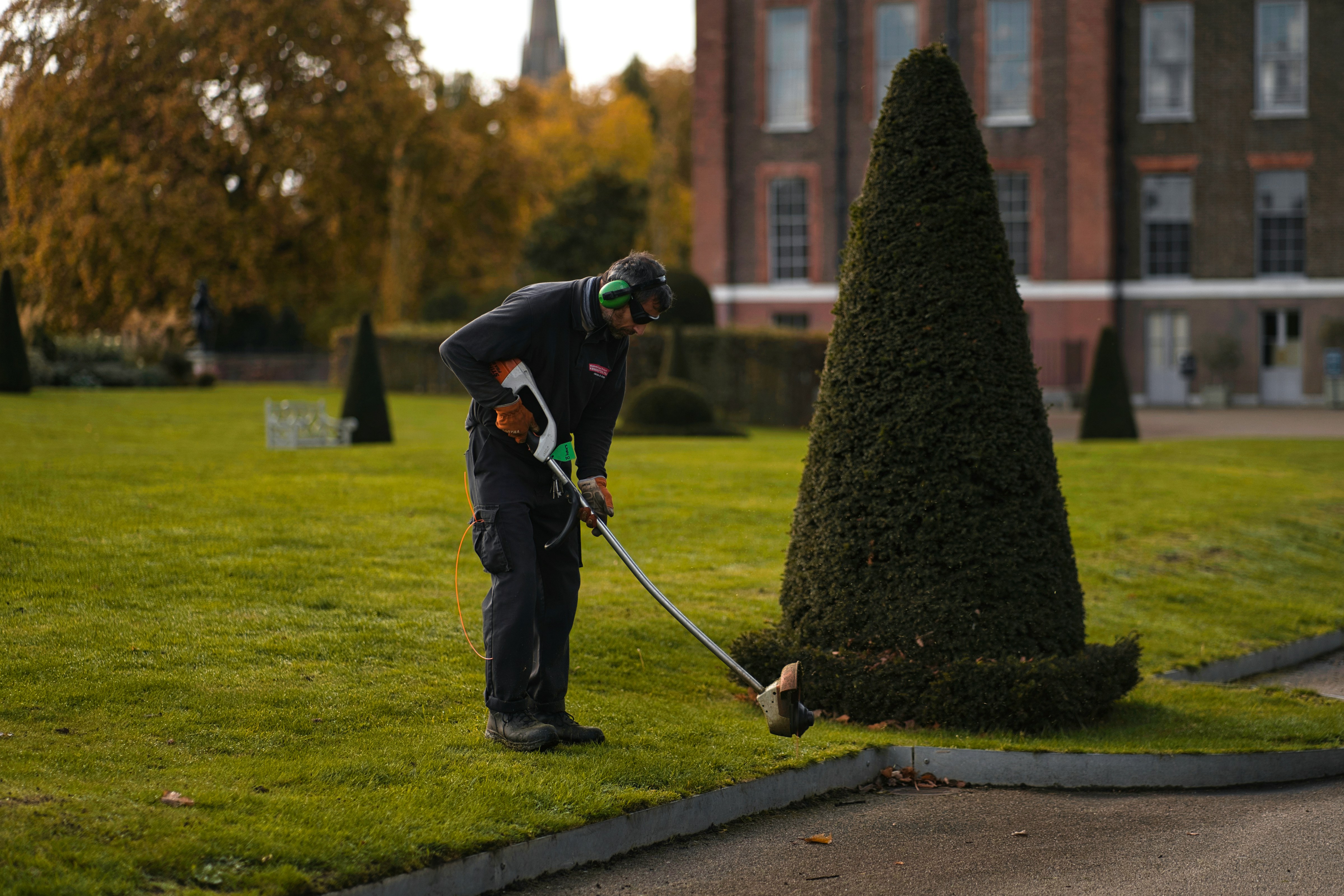 Lawn mower cutting grass